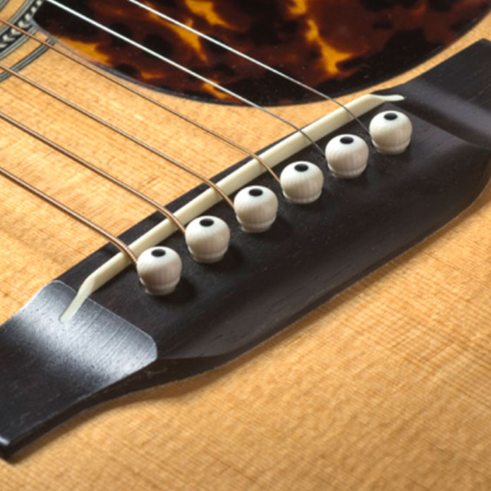 Endpins + Bridge Pins