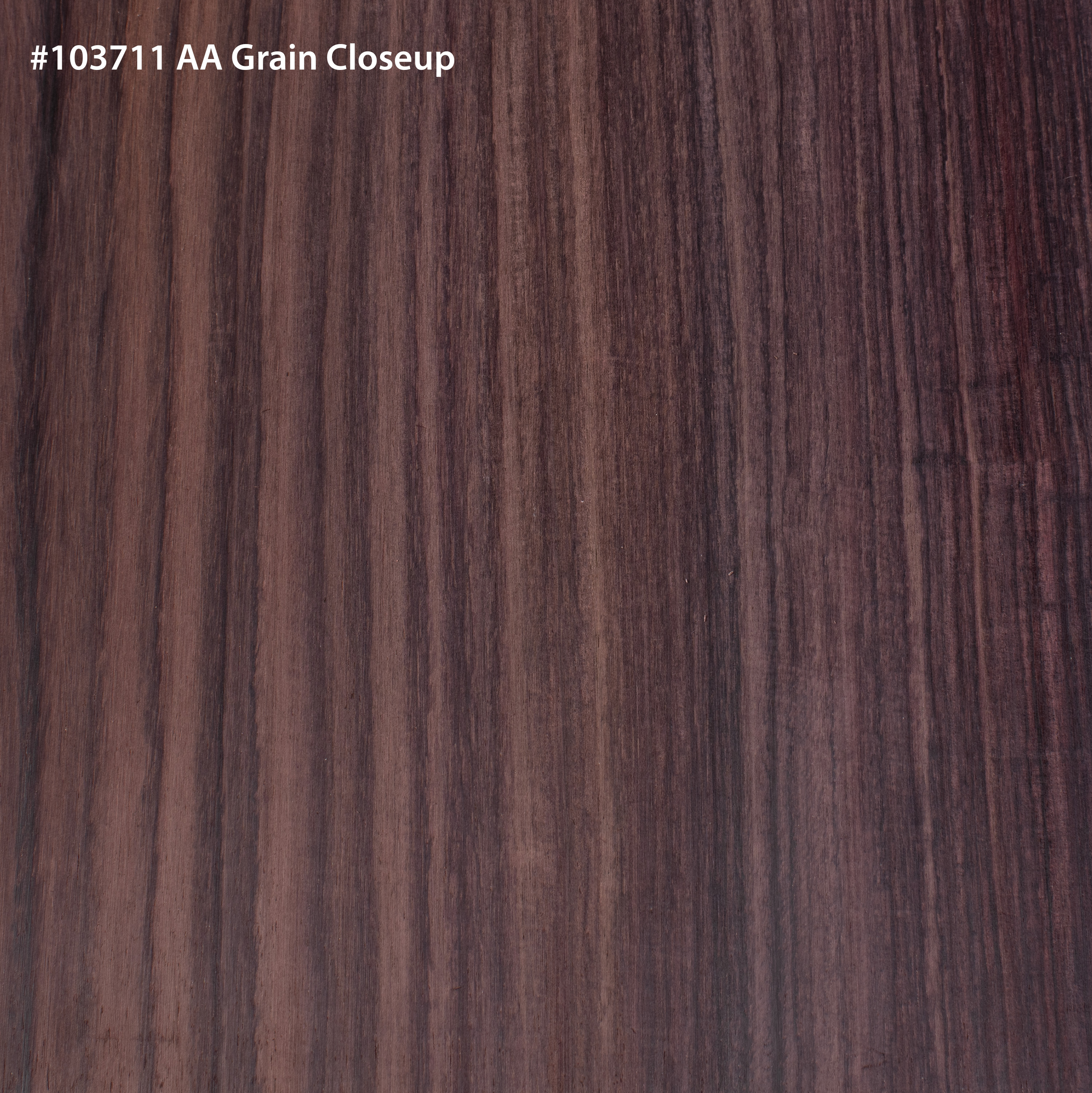 Indian Rosewood Back + Side Set for Small Guitar