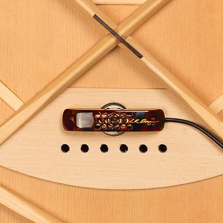 L.R. Baggs Lyric Acoustic Guitar Microphone