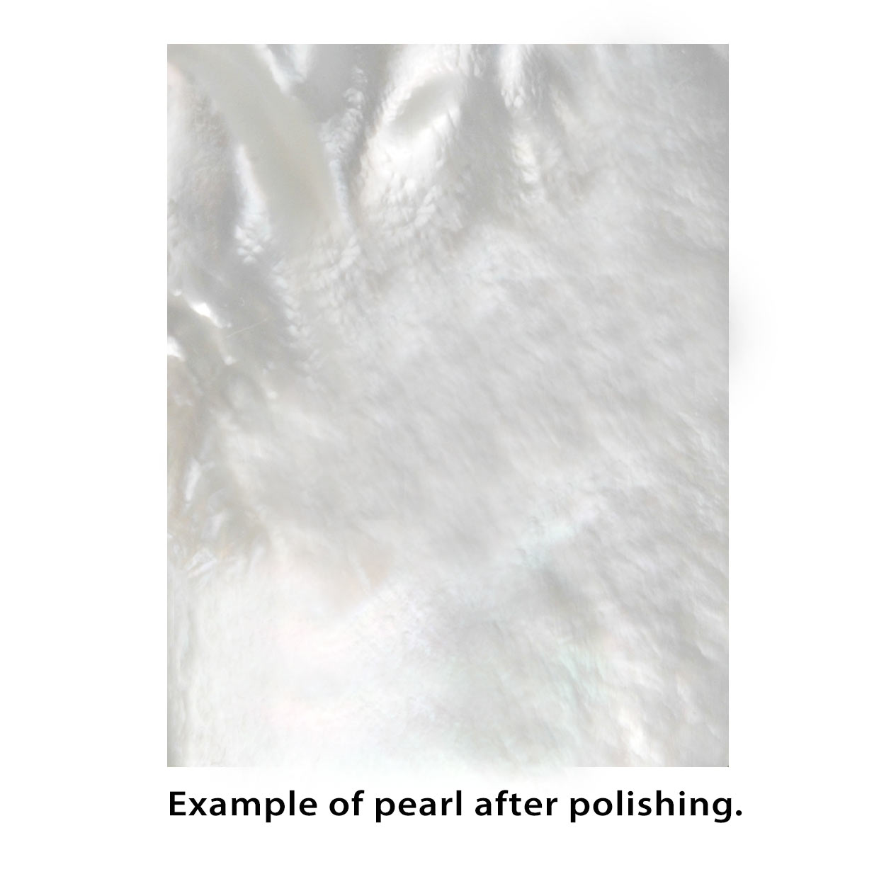Pearl Inlay Blanks - 1oz Pack
