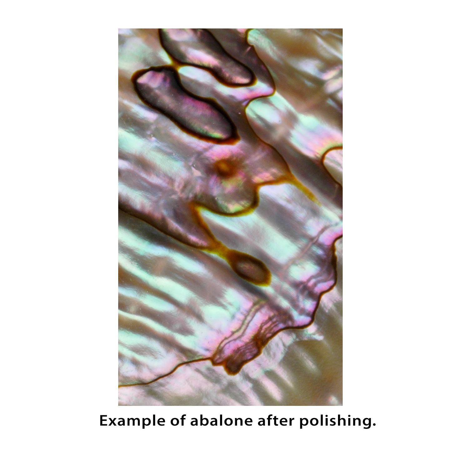 Pearl Inlay Blanks - 1oz Pack