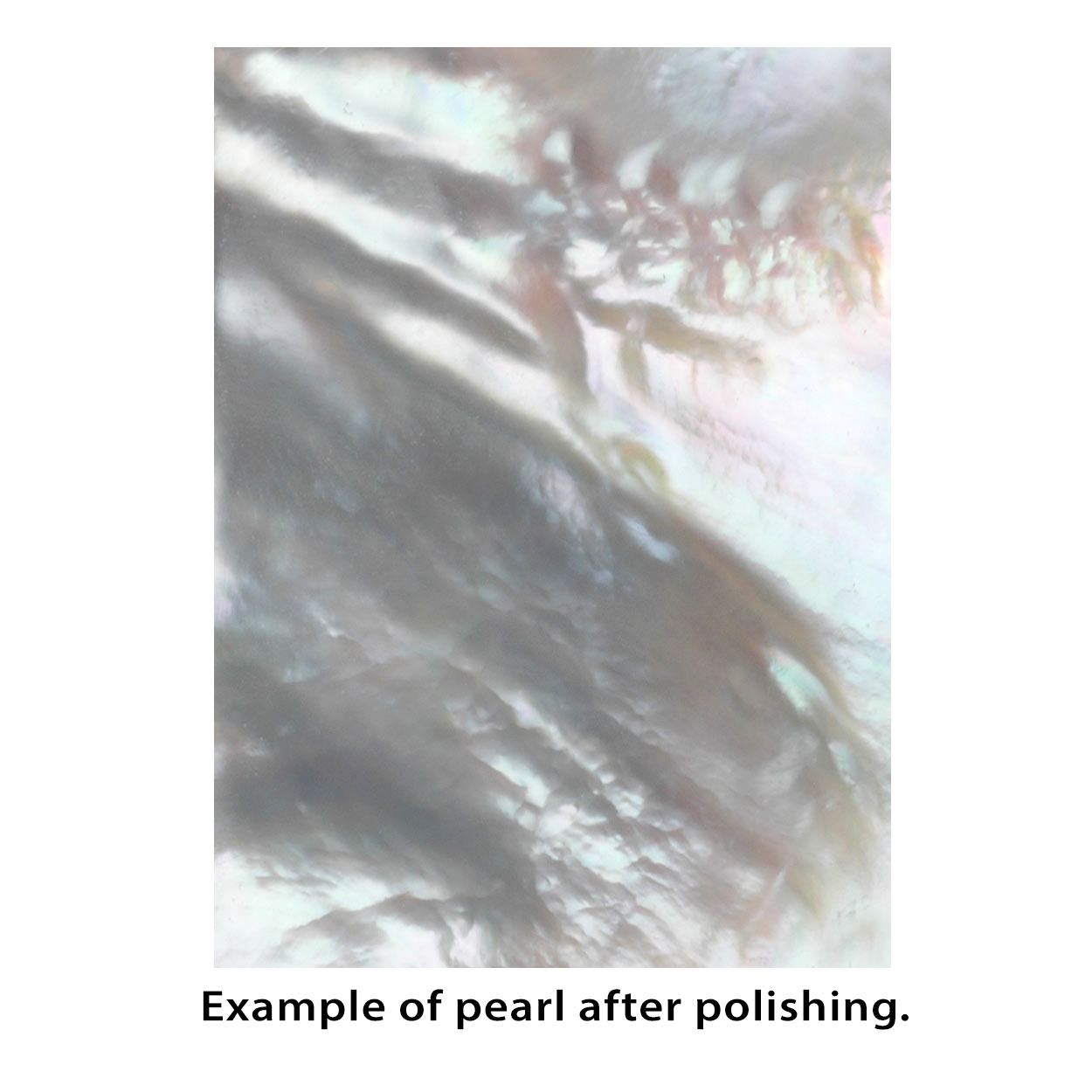 Pearl Inlay Blanks - 1oz Pack