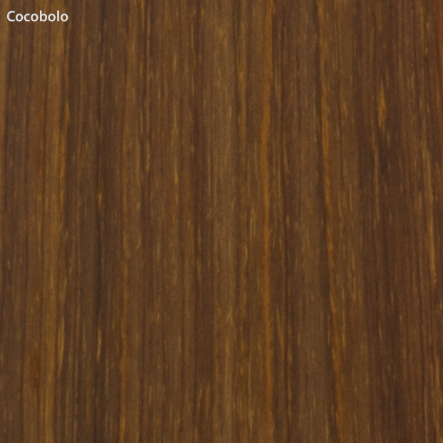 Peghead Overlay Veneer