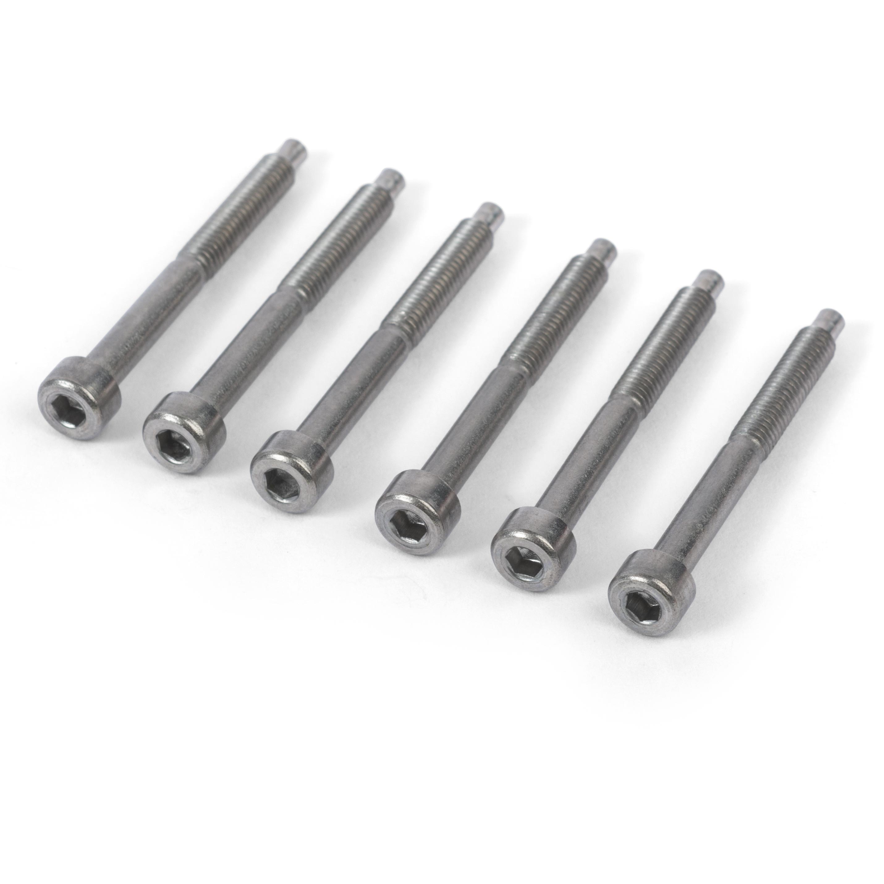 Floyd Rose String Locking Screws