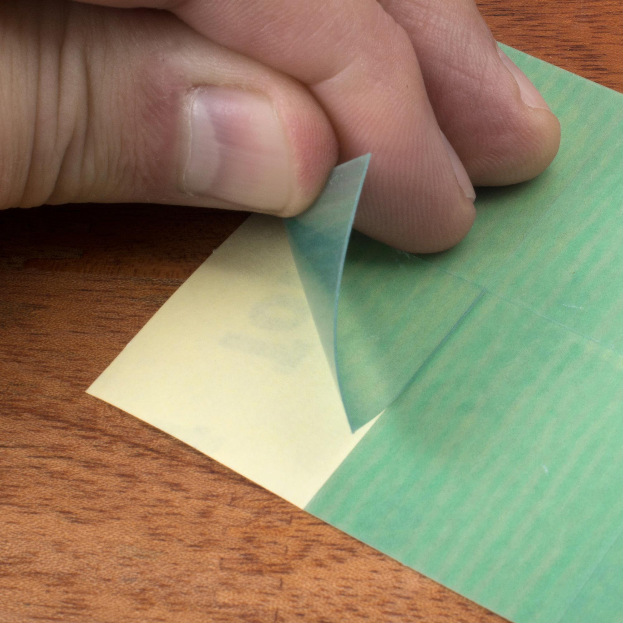 Understring Fret Polisher