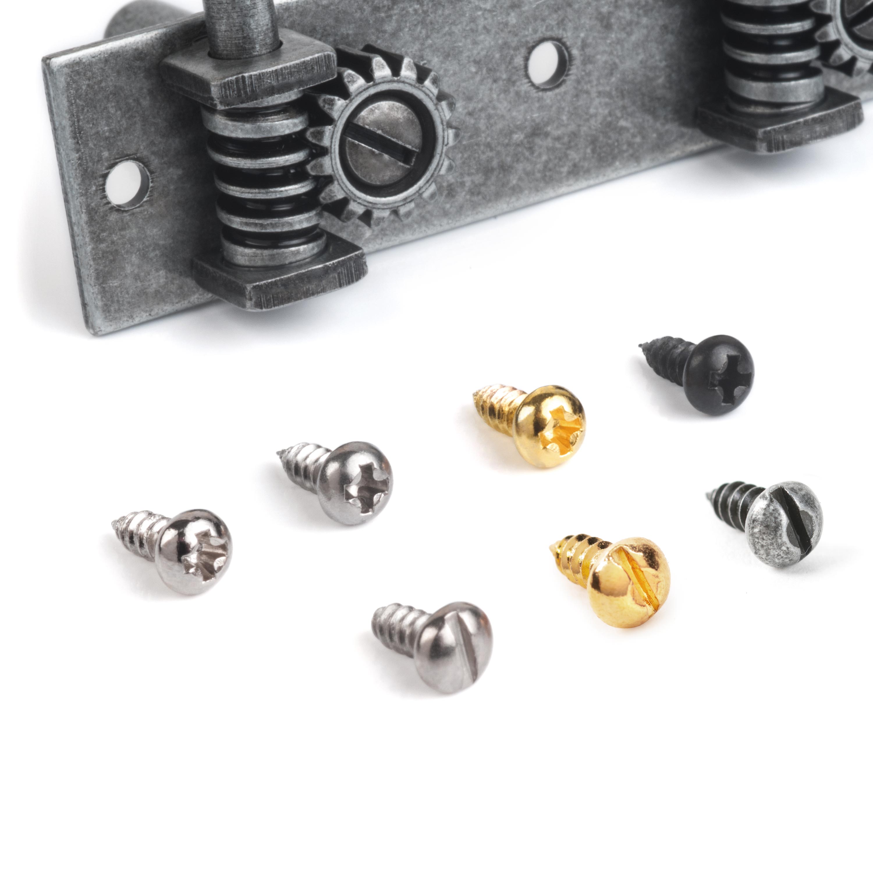 Tuner Screws for Slotted Pegheads