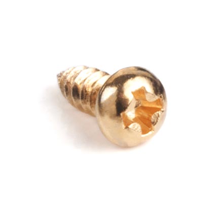 Tuner Screws for Slotted Pegheads, Phillips, gold