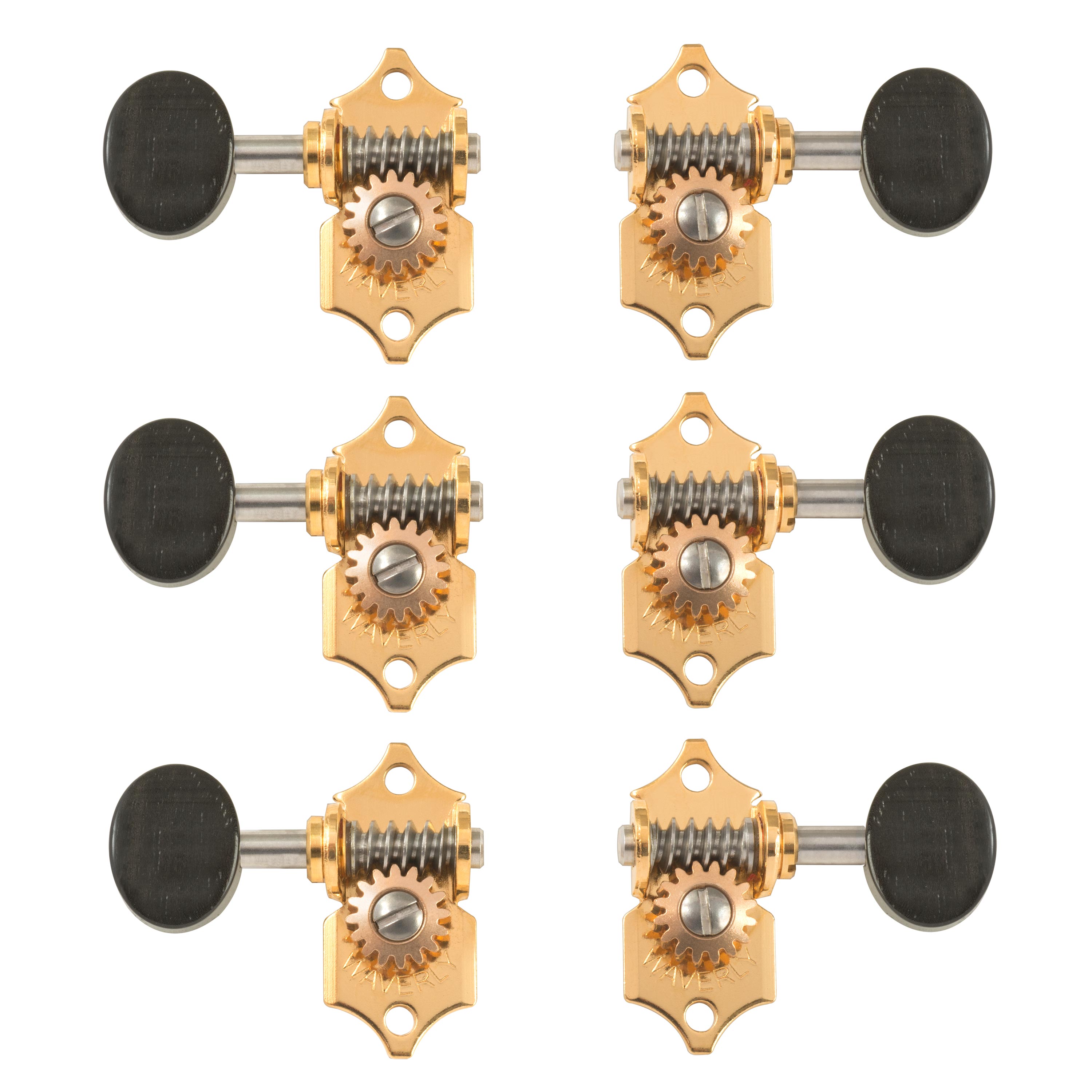 Waverly Guitar Tuners with Ebony Knobs for Solid Pegheads, Gold, 3L/3R