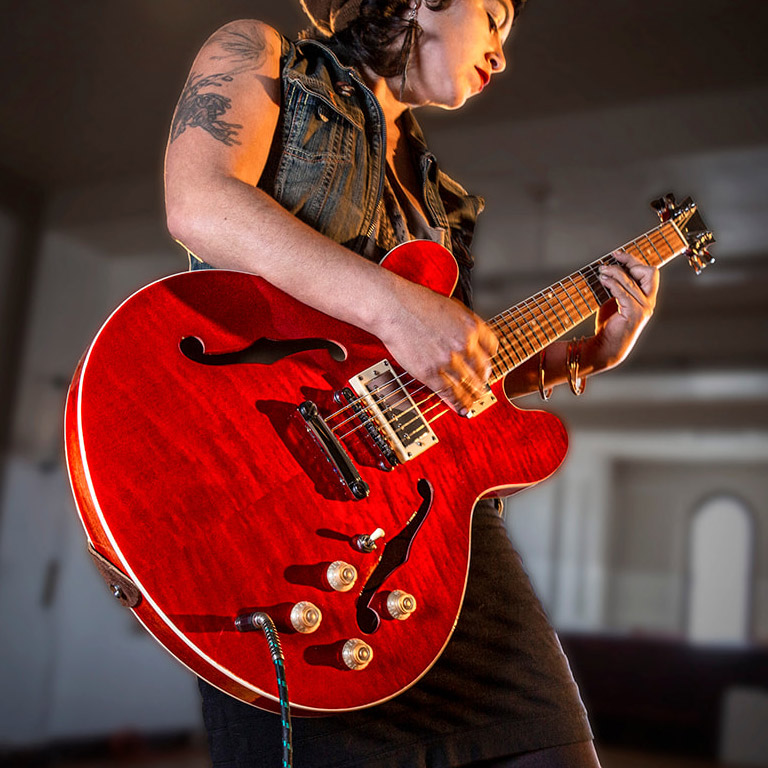 Semi-Hollowbody Electric Guitar Kit