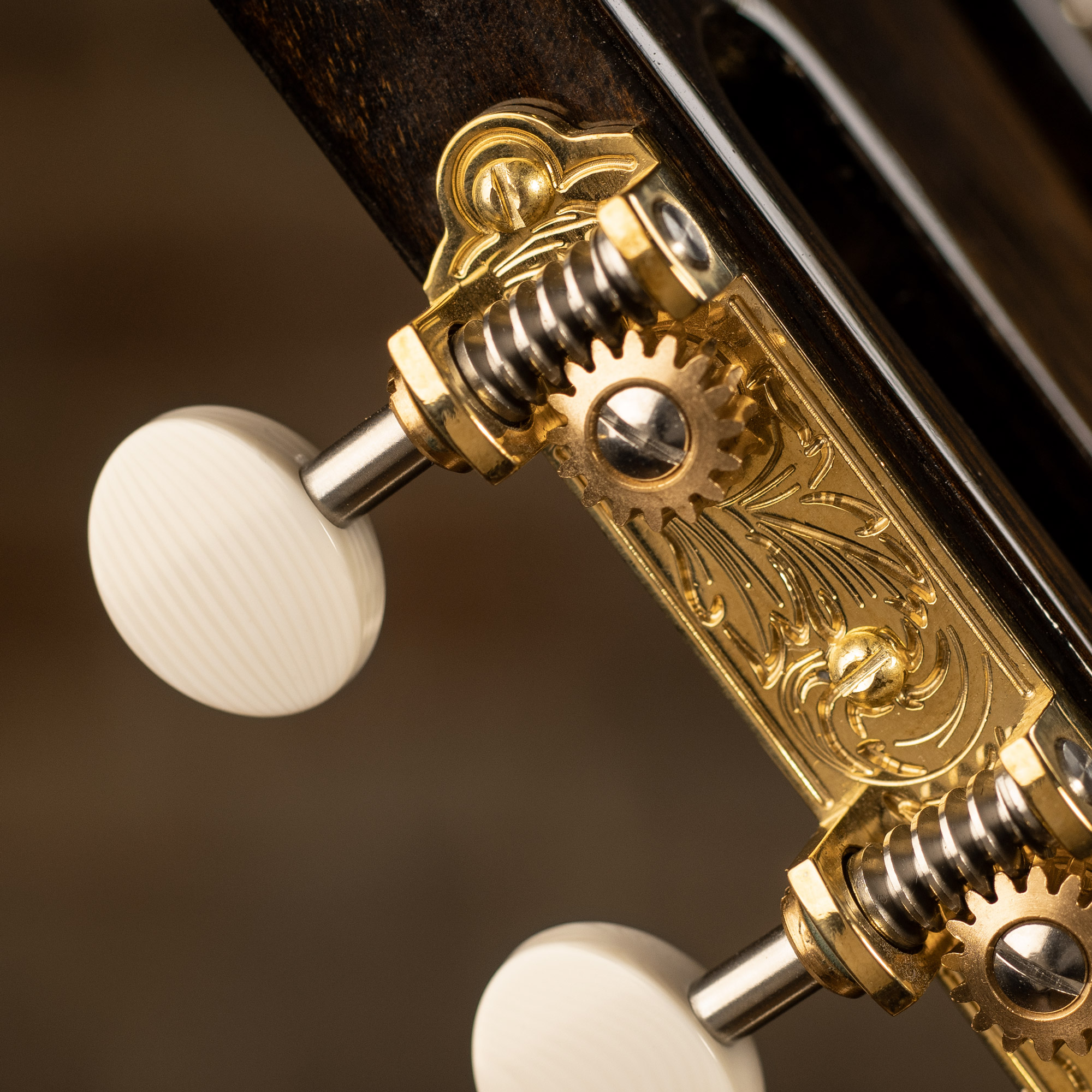 Waverly 3-On-Plate Guitar Tuners with Ivoroid Knobs for Slotted Pegheads