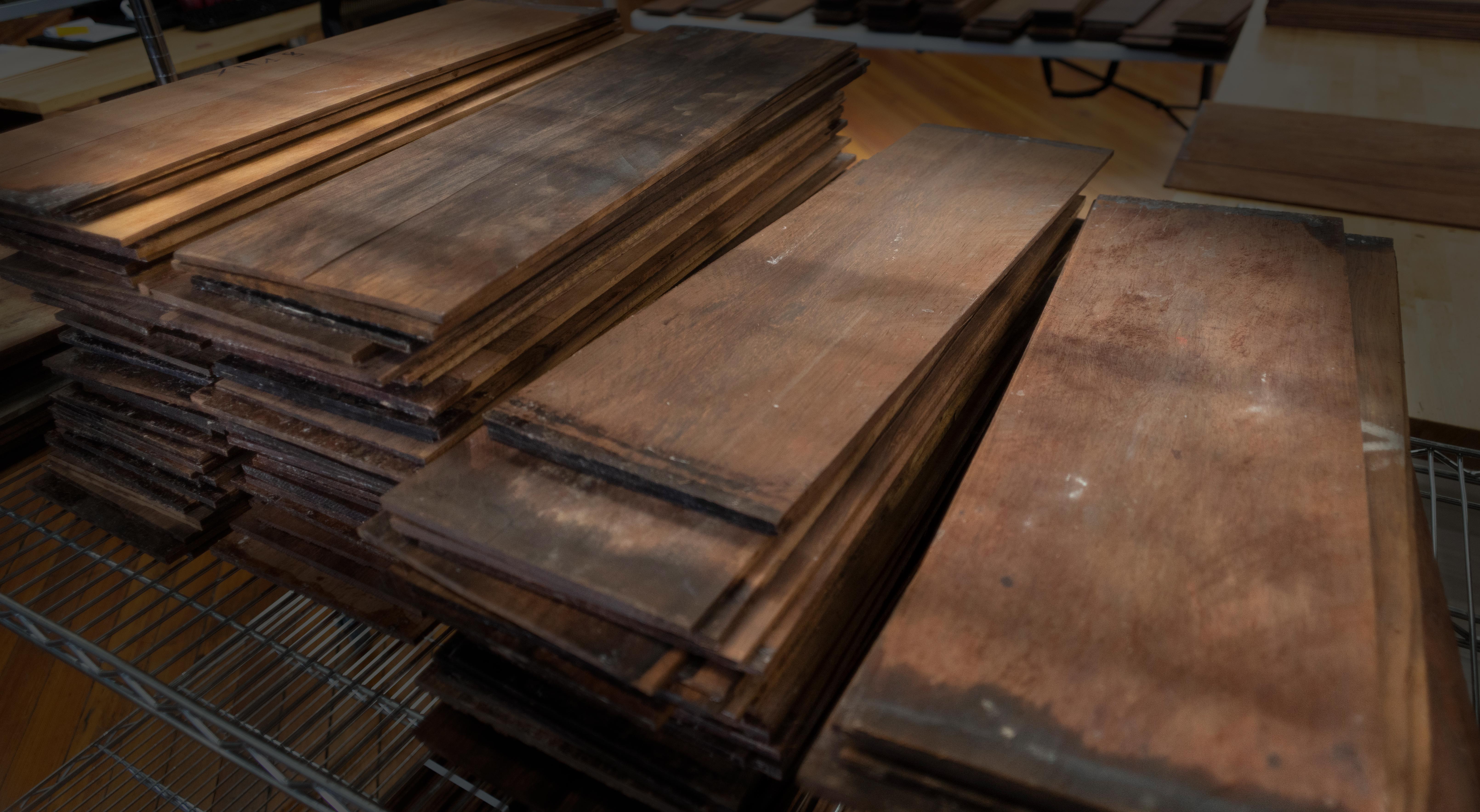 Madagascar Rosewood Our Private Reserve Is Now Open To You