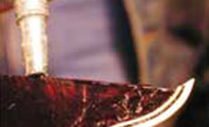 Adding the Bind-ALL glue