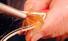 Brushing the acetone