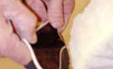 Buffing the pickguard