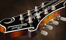Photo: Les Paul clone