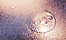 Inspecting the damage