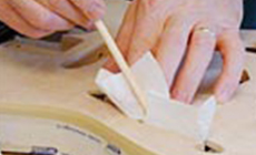 Protecting the interior