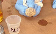 Photo: polishing pad