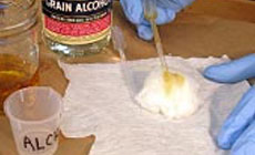 Photo: polishing pad