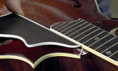 Position the pickguard