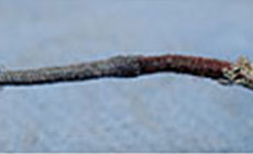 Cloth insulation repaired