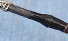 Pickup tape covering wires