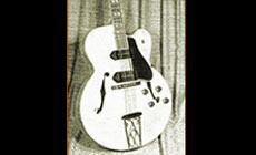 Es-350t-guitar