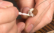 Apply glue to the cleat