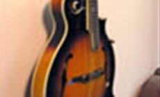 eBay mandolin