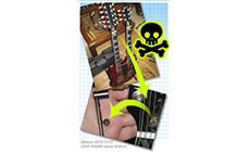 Doubleneck with broken truss rod intro image